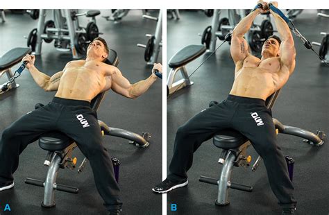 The Magical Connection: Chest Movements and Their Impact on Other Muscle Groups